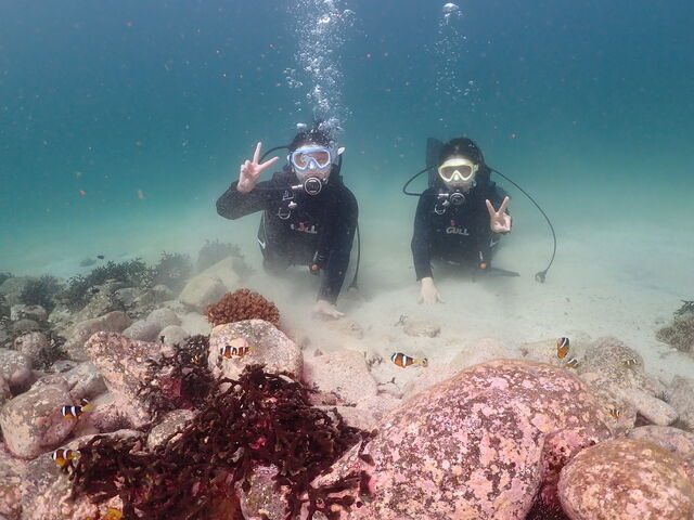 �掿�߂������Y��I�I����������ĎB���Ă��������܂����I����������ȊO����������ł��I_�����_�C�r���O�T�[�r�X�@Smiley Dive