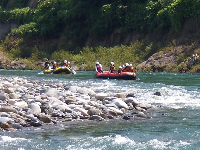 �������Ƃ��������A�Ƃ��Ă��X�������O�Ŋy�����I_������Ѓ��t�^