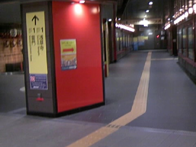 �󑐉w���D�O���L���C��_�������g������� �󑐉w