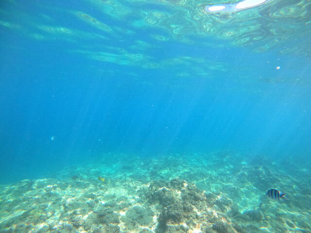 �󐣂̂Ƃ���̃S�[�v���ʐ^_�n�C�r�X�J�X