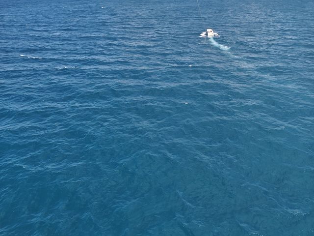 �P�O�O��_�v����VIVA�p���Z�[�����O