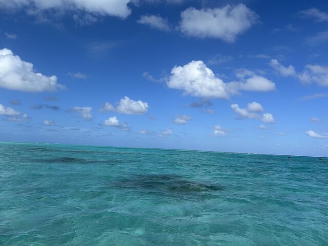 �C���Y��I_tome cruise