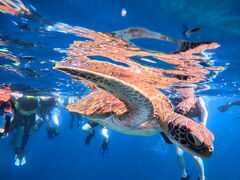 ݂݂SHISHIΊ_ւ̓eʐ^1