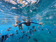 `bNdiving&workshop IHANASHIւ̓eʐ^1