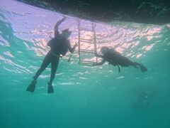 warhead117̃}Nu Gigiւ̓eʐ^1