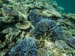 ^J̐Ί_ ADVENTURE PiPiւ̓eʐ^1