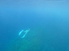 L[̃veNg_CrOւ̓eʐ^1