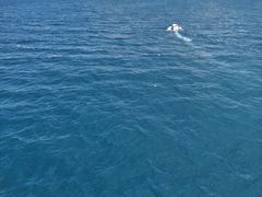 ��������̋v����VIVA�p���Z�[�����O�ւ̓��e�ʐ^1