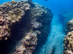 Saltwater social clubւ̓eʐ^2