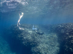 Saltwater social clubւ̓eʐ^3