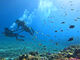 ̃_CrOVbvTI.OCEANւ̓eʐ^4