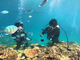 ̃_CrOVbvTI.OCEANւ̓eʐ^3