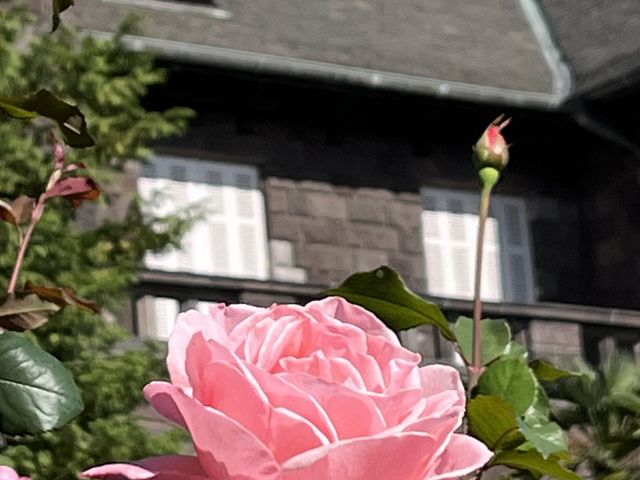 �O��_���É͒뉀