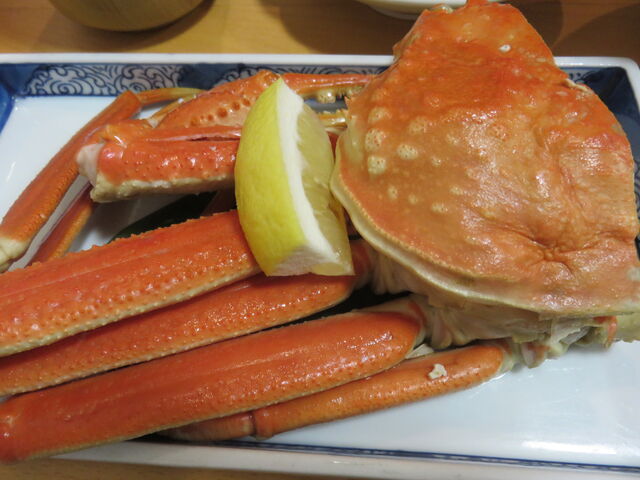 �[�H_�l�≷��