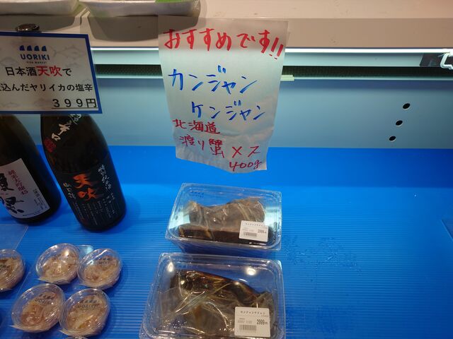 ꌧO{S@̉w݂݂_̉w݂݂