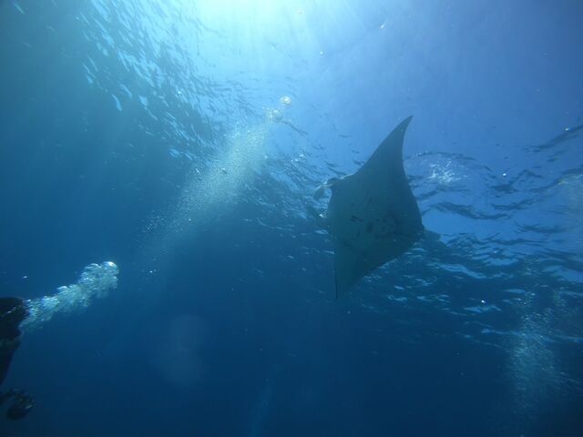 cǊԃ_CrO__CrOVbv@A[NGWF