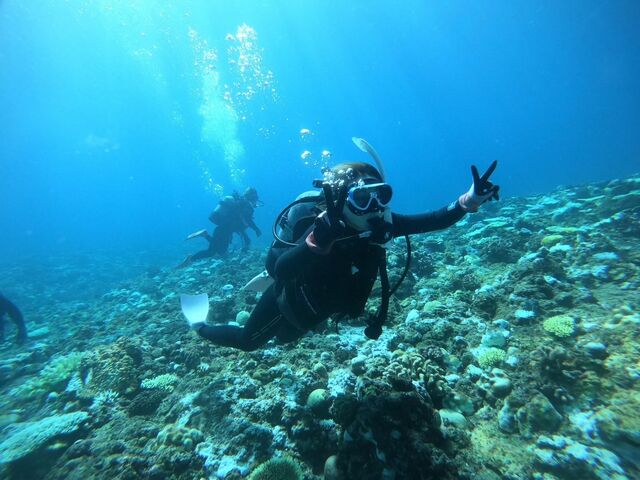 cǊԑ̌_CrO__CrOVbv@A[NGWF