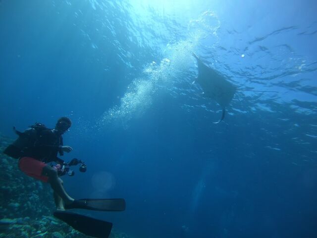 cǊԑ̌_CrO__CrOVbv@A[NGWF