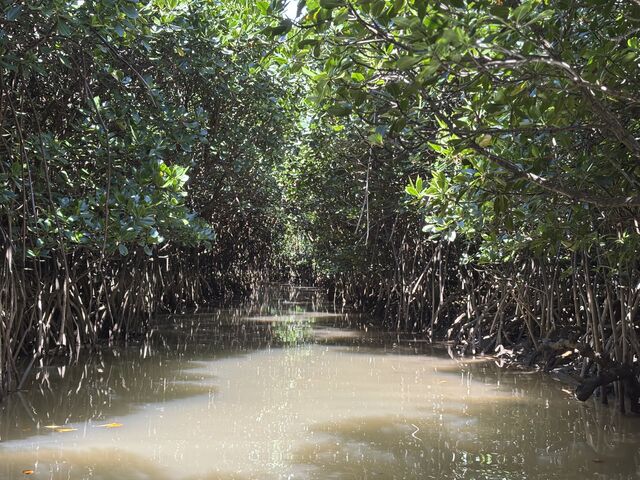 �}���O���[�u�̃g���l��_���΂�`����