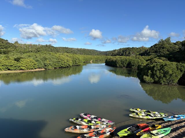 ����_���΂�`����