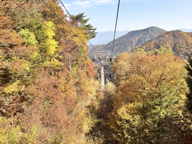 riri̕xm䍂[vEFCwuX̂͂̓eʐ^1