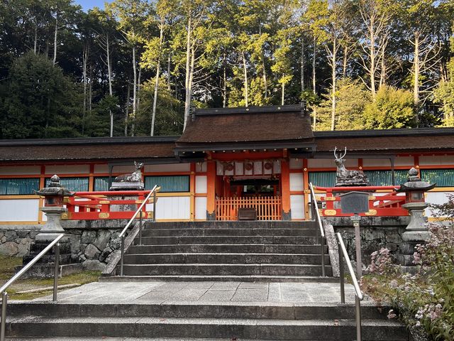 �����ł͂Ȃ��������܂���_�匴��_��