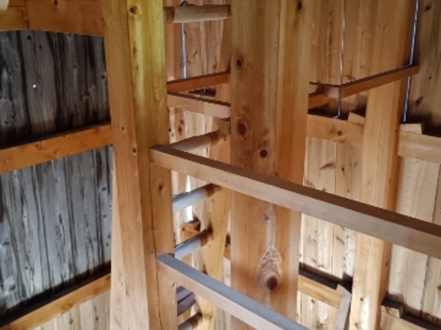 {eBA񂪋ꍇAEꍇL_隬