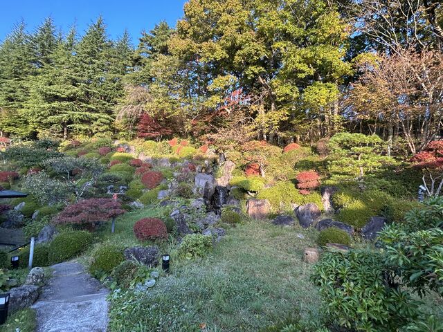 ����_�Ȃ��߂ٌ̊��_�t