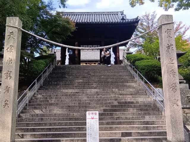 �K�i����_���q�_��