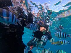 т̃}Nu Gigiւ̓eʐ^1