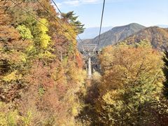 riri̕xm䍂[vEFCwuX̂͂ւ̓eʐ^1