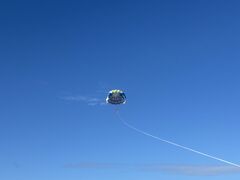 cǊ(P})C攼cA[X@OPG̎ʐ^1