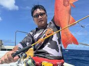 ̃_CrOVbv@A[NGWF̓eʐ^3