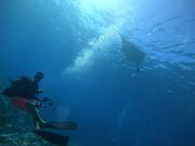 ̃_CrOVbv@A[NGWF̓eʐ^4