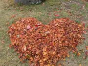 傤̏Hc욠_Ђ̓eʐ^1