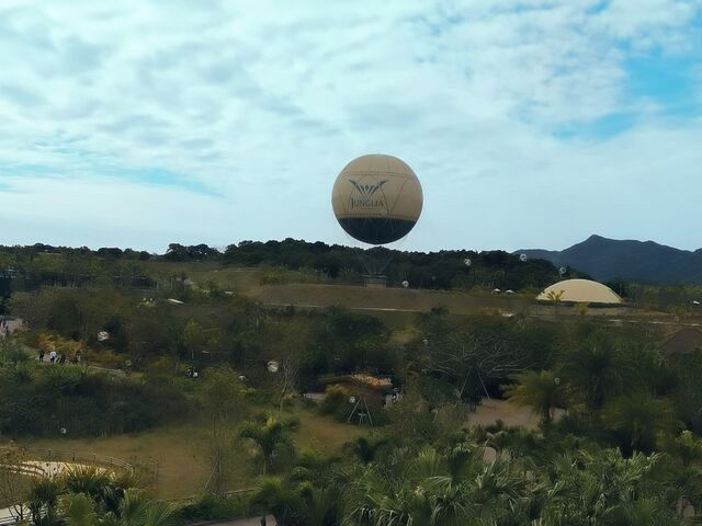 �C���t�B�j�e�B�e���X����̑S�i_JUNGLIA OKINAWA(�W�����O���A����)