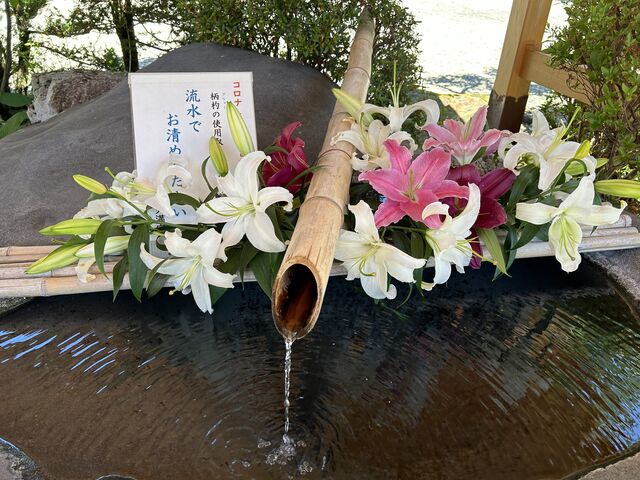 �萅��_��˓V���{