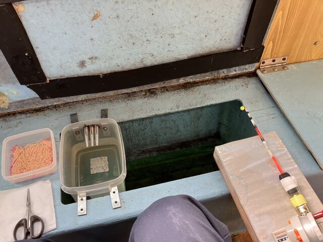 �D��_�{�[�g�n�E�X���C��