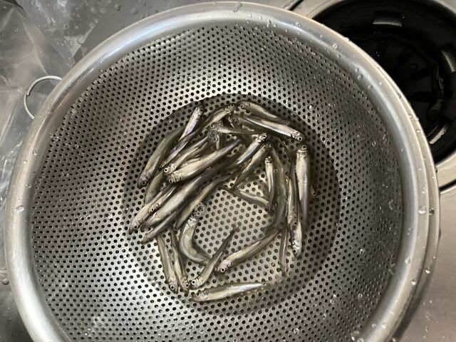 �ނ������J�T�M_�{�[�g�n�E�X���C��