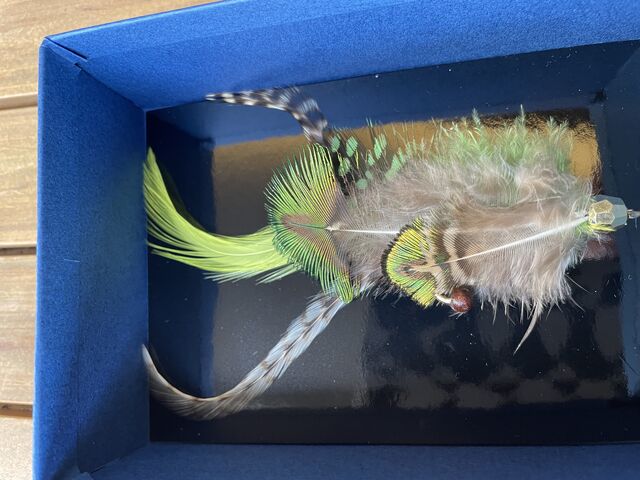 ��`�̍E���̔w���̉H���A�N�Z���g�ł�_�ڍה��Y���q���X