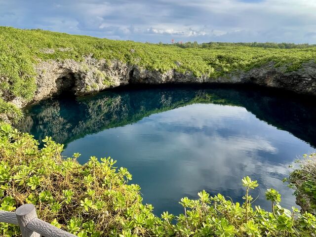 �����9���߂���̐������̂܂ܔ������B_�ʂ�r