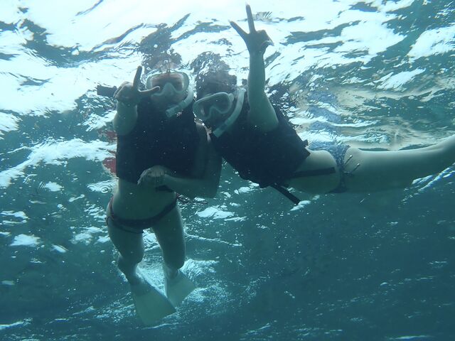 ���߂Ăł��ȒP�I_noa �{�Ó�