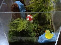 �ۃe�����E�����[�N�V���b�v�����͂�̎ʐ^2