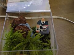 �ۃe�����E�����[�N�V���b�v�����͂�̎ʐ^3