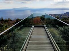 �����R�����̎ʐ^1