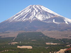 �}�[�`��������̏\���؍����ւ̓��e�ʐ^1