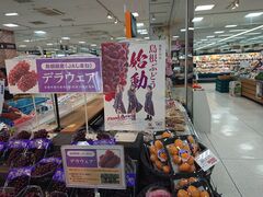 �������̂�߃^�E���l�c�ւ̓��e�ʐ^2