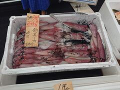 �������̂�߃^�E���l�c�ւ̓��e�ʐ^1