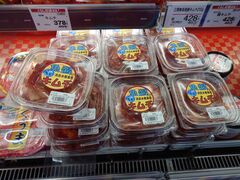 �������̂�߃^�E���l�c�ւ̓��e�ʐ^1