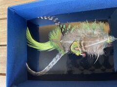 �ڍה��Y���q���X�̎ʐ^1